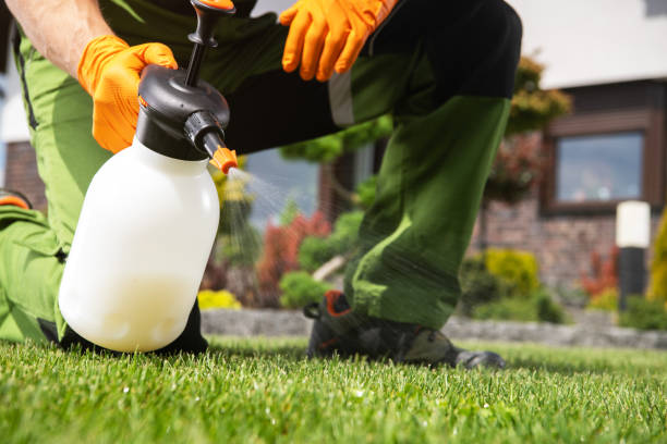 Best Pest Removal Services  in Dalhart, TX