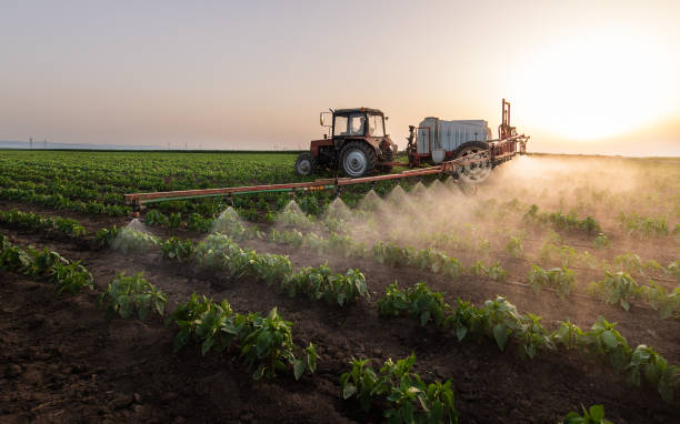Best Insect Control  in Dalhart, TX