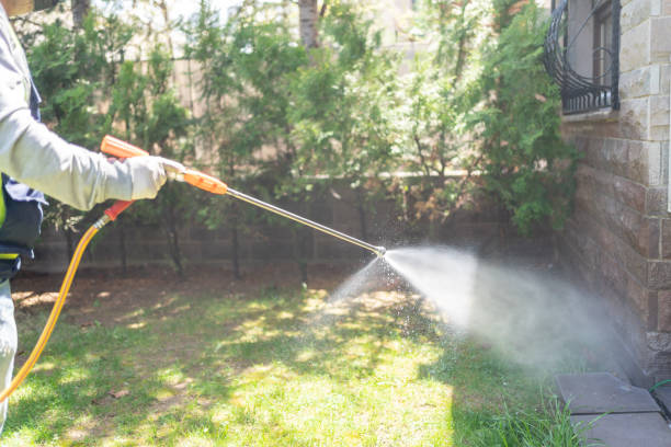 Best Pest Control for Restaurants  in Dalhart, TX