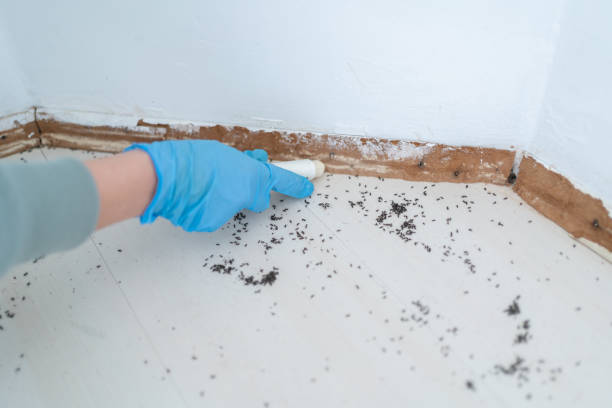 Pest Control for Restaurants in Dalhart, TX