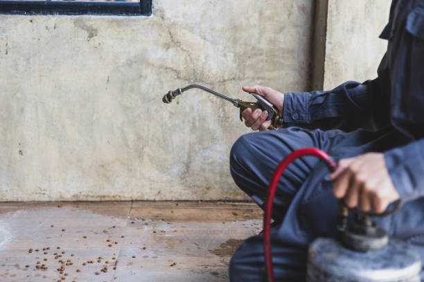 Best Emergency Pest Control  in Dalhart, TX