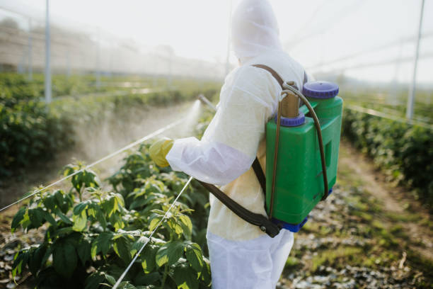 Best Cockroach Control Services  in Dalhart, TX